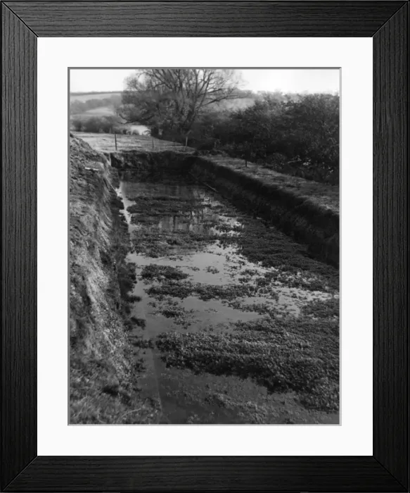 Framed Print : Watercress Bed Framed Print : Watercress Bed