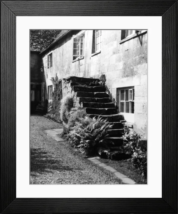 Framed Print : Curious Steps Framed Print : Curious Steps