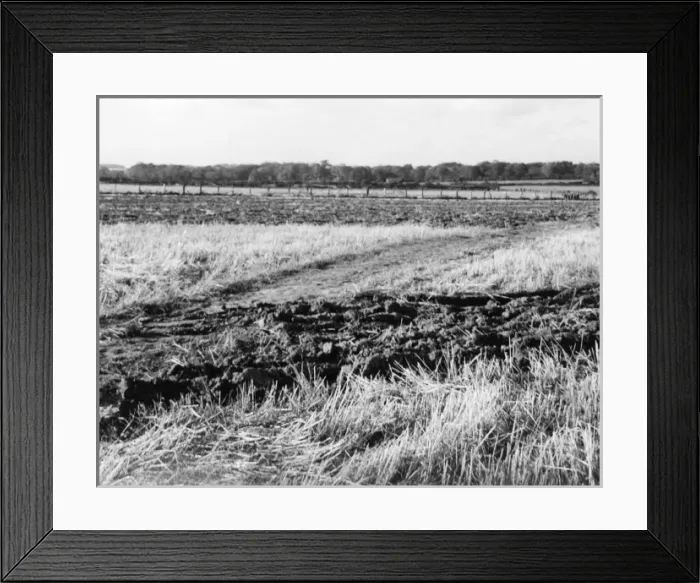 Framed Print : Ploughing a Field Framed Print : Ploughing a Field