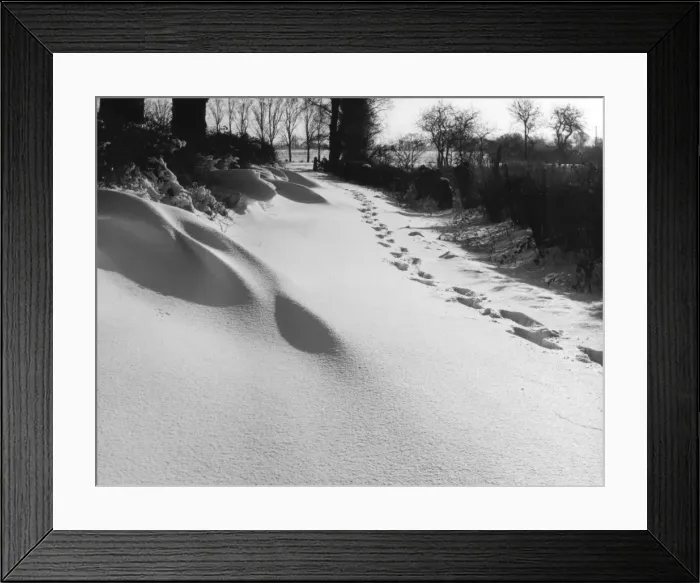 Framed Print : Footprints in the Snow Framed Print : Footprints in the Snow