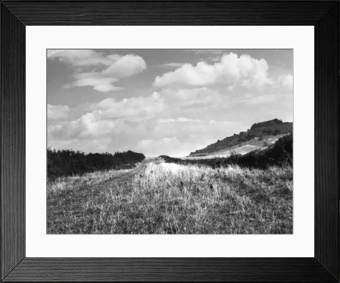Framed Print : Icknield St. Roman Road Framed Print : Icknield St. Roman Road