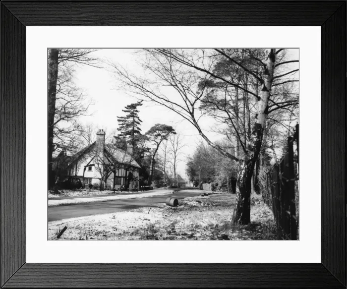 Framed Print : Winter at Bilton Framed Print : Winter at Bilton