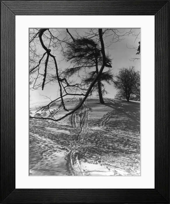Framed Print : Snowy Hillside Framed Print : Snowy Hillside