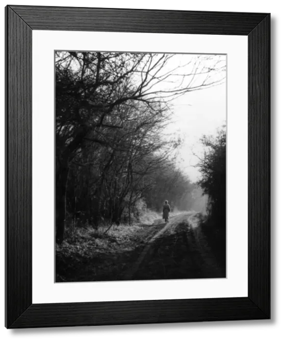 Framed Print : Stane Street Framed Print : Stane Street