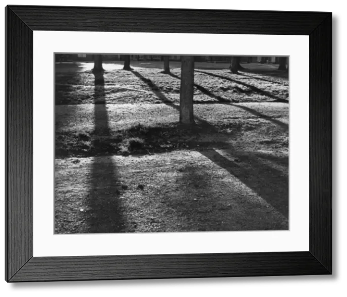 Framed Print : Sunshine and Shadow Framed Print : Sunshine and Shadow