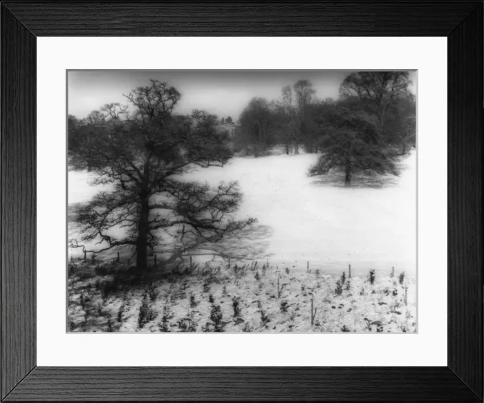 Framed Print : Winter Snow Scene Framed Print : Winter Snow Scene