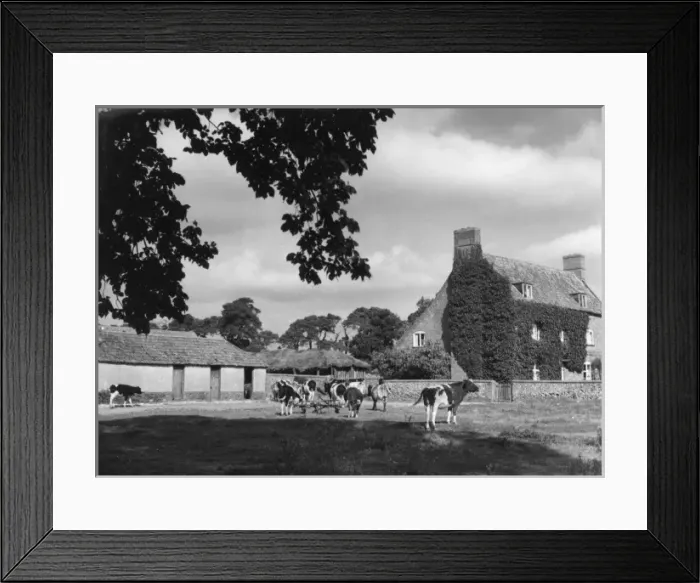 Framed Print : Norfolk Farmhouse Framed Print : Norfolk Farmhouse