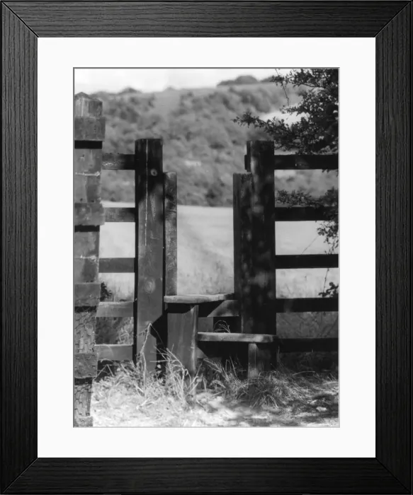 Framed Print : Double-Step Stile Framed Print : Double-Step Stile
