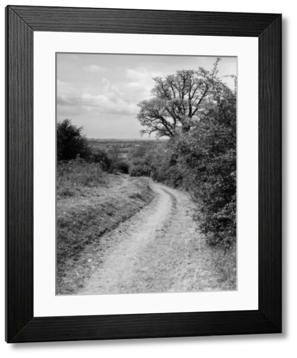 Framed Print : Old Banbury Trackway Framed Print : Old Banbury Trackway