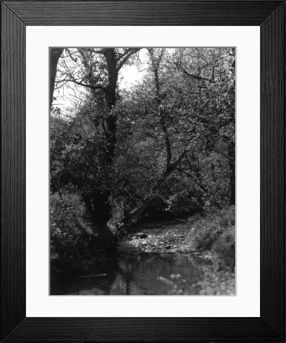 Framed Print : Groudle Glen Framed Print : Groudle Glen