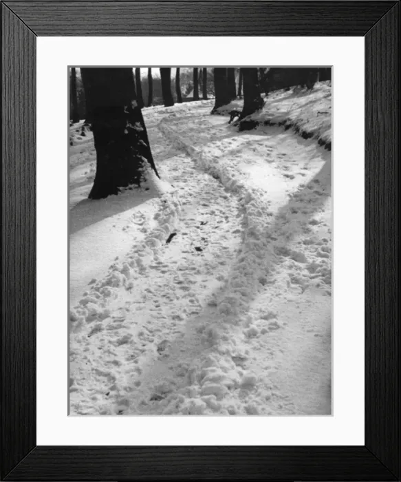 Framed Print : SNOWY PARK Framed Print : SNOWY PARK