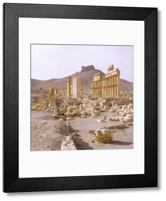 Framed Print : Syria / Palmyra / Colonnade Framed Print : Syria / Palmyra / Colonnade