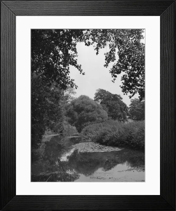 Framed Print : The River Mole Framed Print : The River Mole