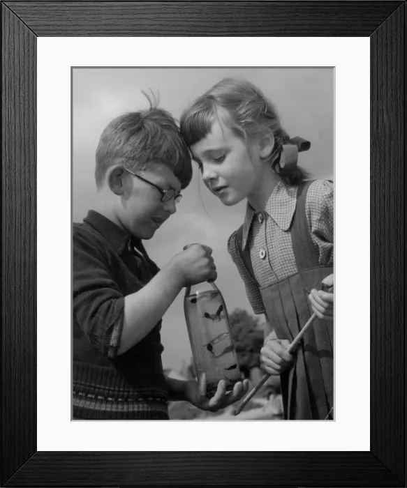 Framed Print : 10185778 Framed Print : 10185778