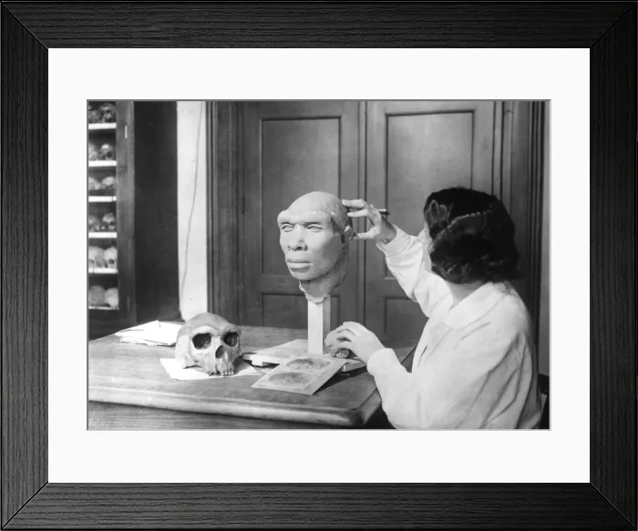 Framed Print : Skull Reconstruction Framed Print : Skull Reconstruction
