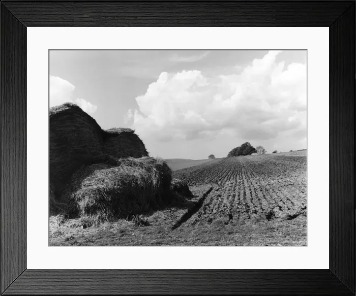 Framed Print : Springtime Furrows Framed Print : Springtime Furrows