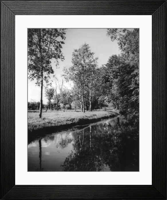 Framed Print : Morden Hall Park Framed Print : Morden Hall Park