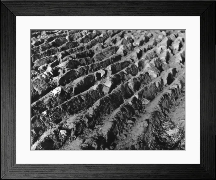 Framed Print : THE FURROWED EARTH Framed Print : THE FURROWED EARTH