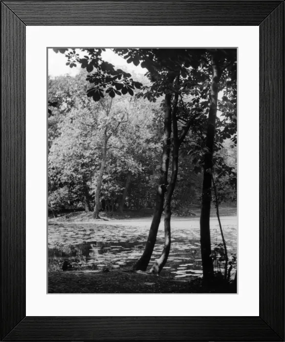 Framed Print : Wanstead Lake Framed Print : Wanstead Lake