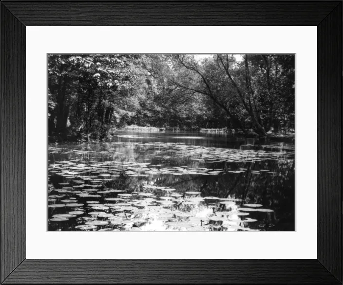 Framed Print : Wanstead Lake Framed Print : Wanstead Lake