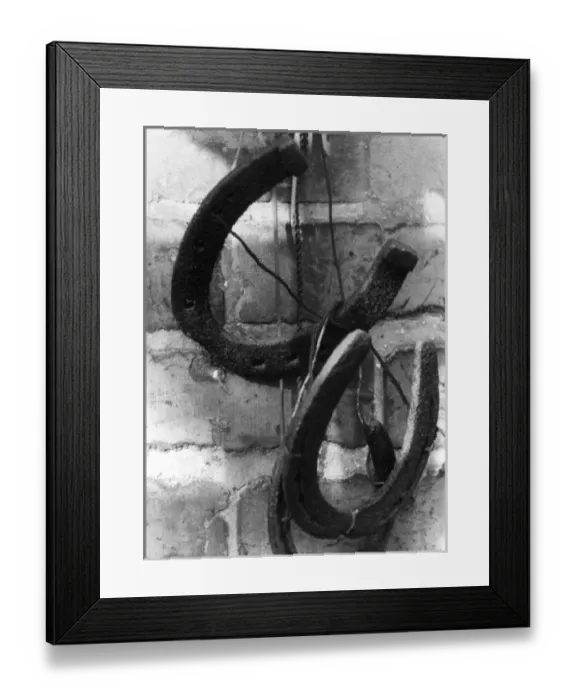 Framed Print : HORSESHOES Framed Print : HORSESHOES