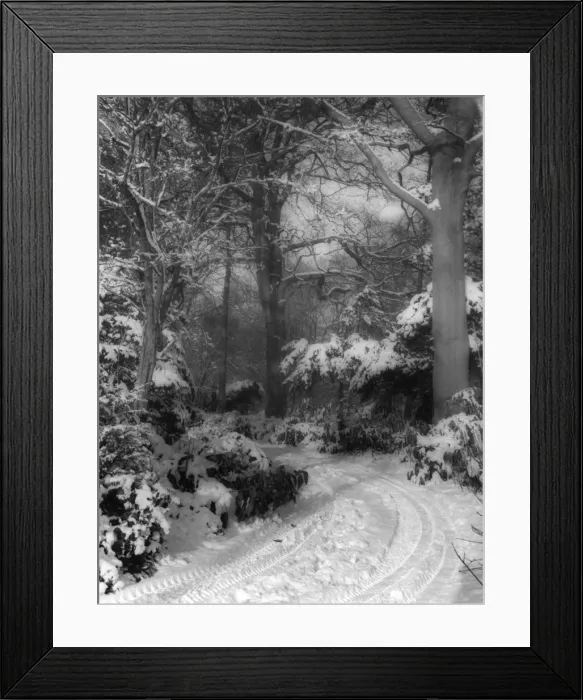 Framed Print : Spooky Snow Scene Framed Print : Spooky Snow Scene
