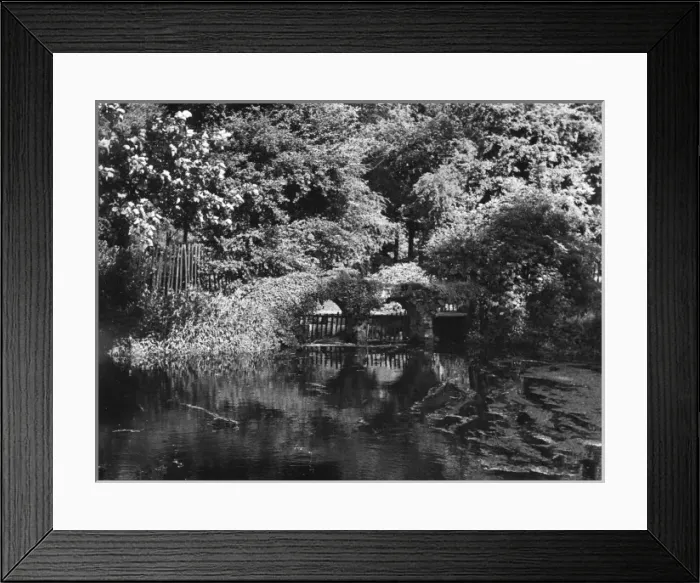 Framed Print : Morden Hall Park Framed Print : Morden Hall Park
