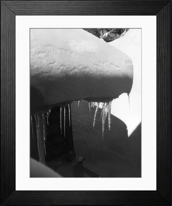 Framed Print : ICICLES. A study of icicles. Date: 1930s