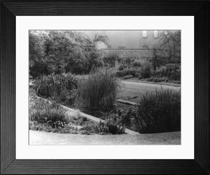 Framed Print : Chelsea Physic Gardens Framed Print : Chelsea Physic Gardens