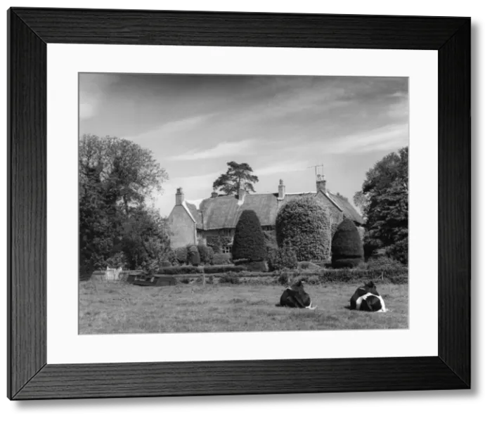 Framed Print : Thatched Farmhouse Framed Print : Thatched Farmhouse