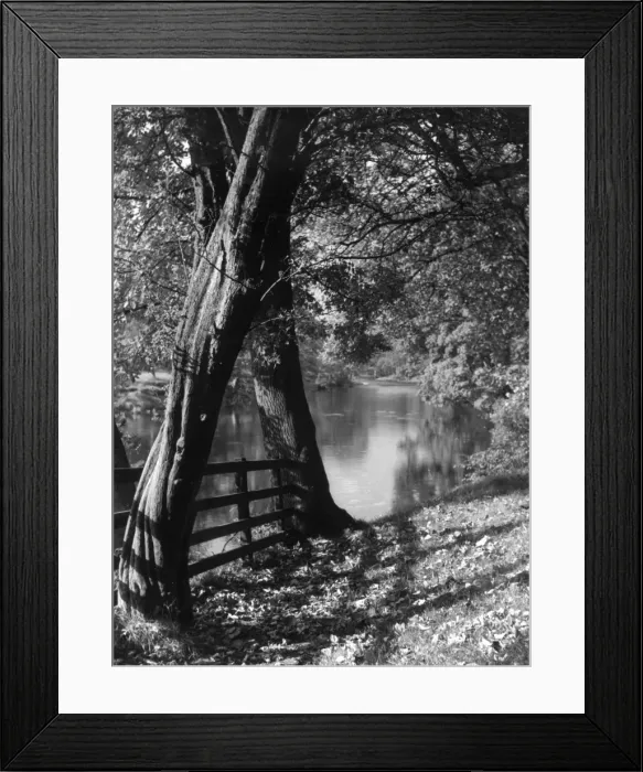 Framed Print : Bolton Woods Framed Print : Bolton Woods