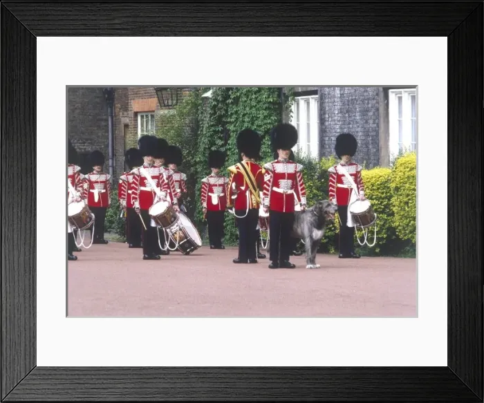 Framed Print : Royal Guards Band Framed Print : Royal Guards Band