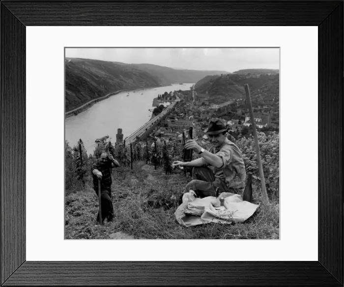 Framed Print : Liquid Lunch Framed Print : Liquid Lunch