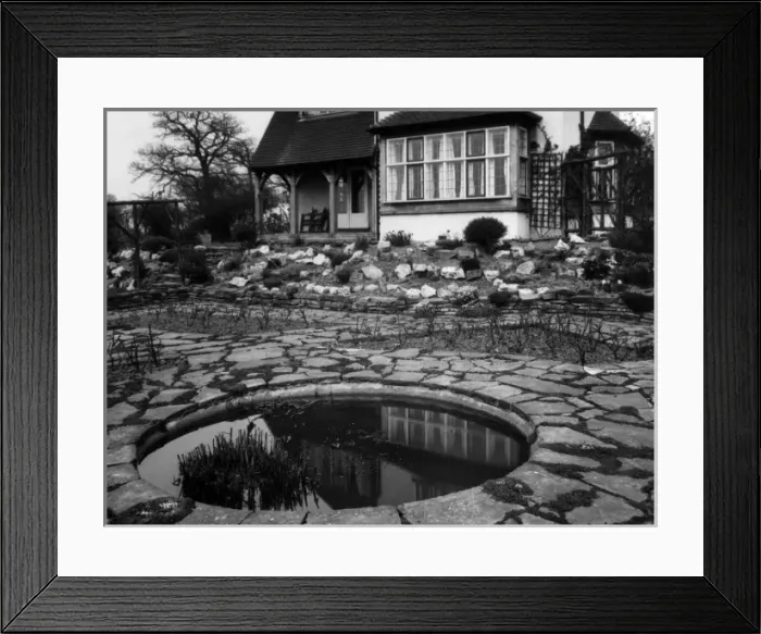 Framed Print : Garden Lily Pond Framed Print : Garden Lily Pond