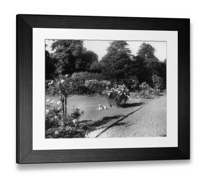 Framed Print : English Rose Garden Framed Print : English Rose Garden