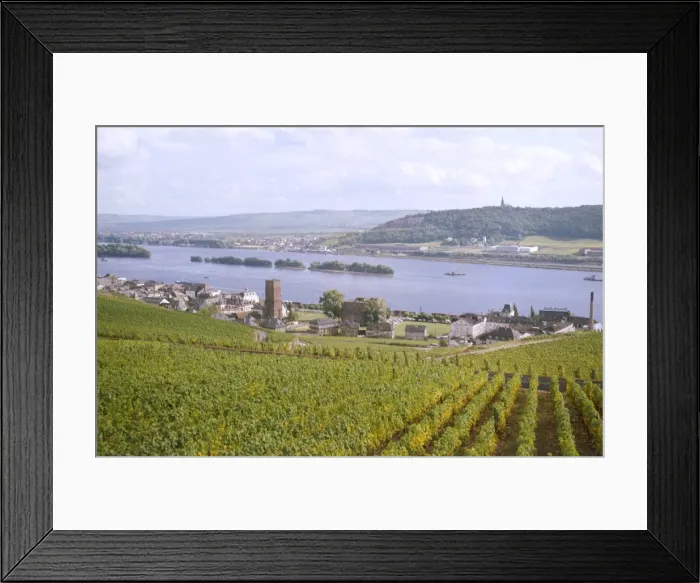 Framed Print : Germany / Rudesheim Framed Print : Germany / Rudesheim