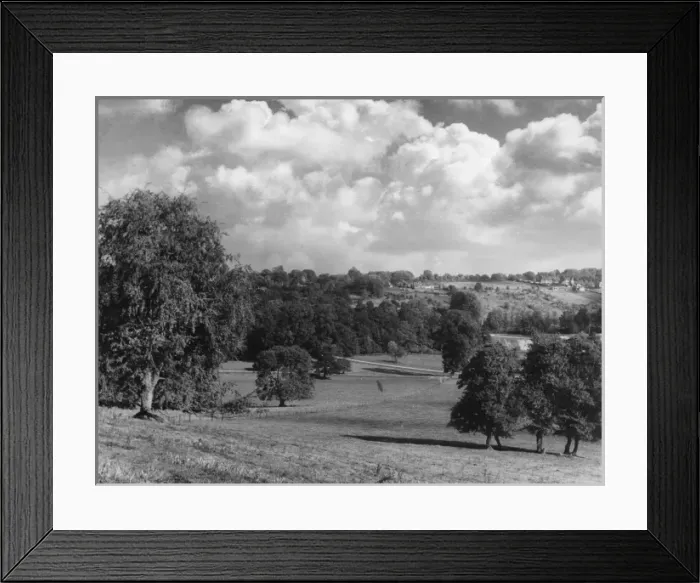 Framed Print : Mickleham Park Framed Print : Mickleham Park