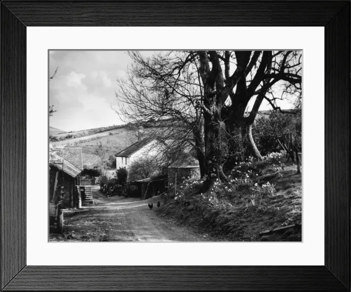 Framed Print : Devonshire Farmstead Framed Print : Devonshire Farmstead