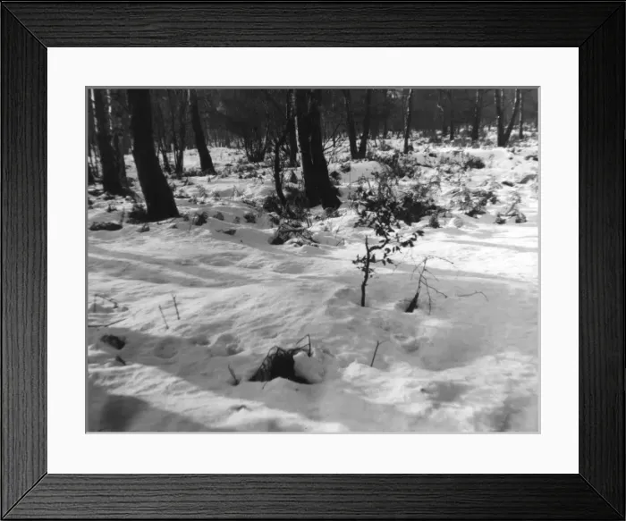 Framed Print : Snow Patterns Framed Print : Snow Patterns