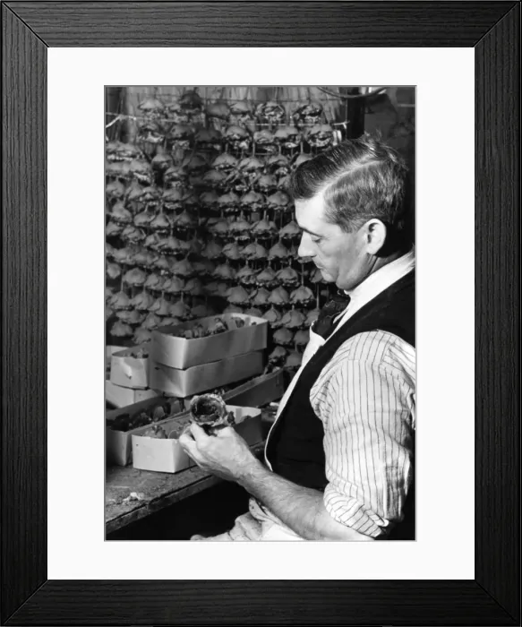Framed Print : Packing Poppies Framed Print : Packing Poppies