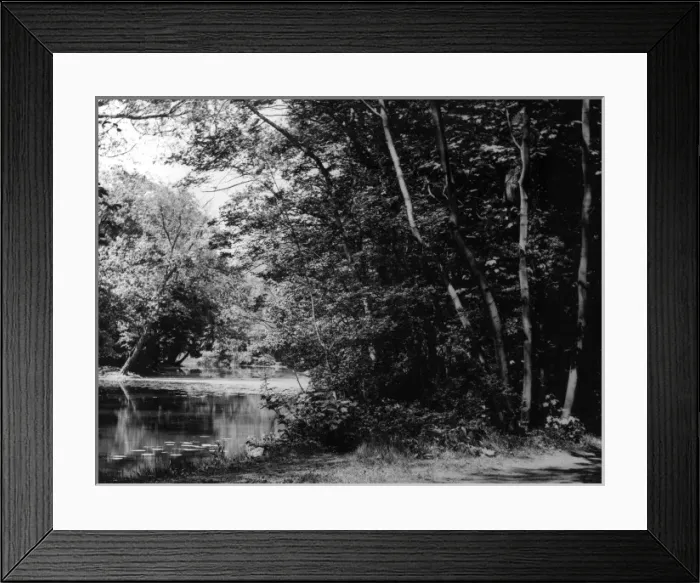 Framed Print : Wanstead Park Framed Print : Wanstead Park