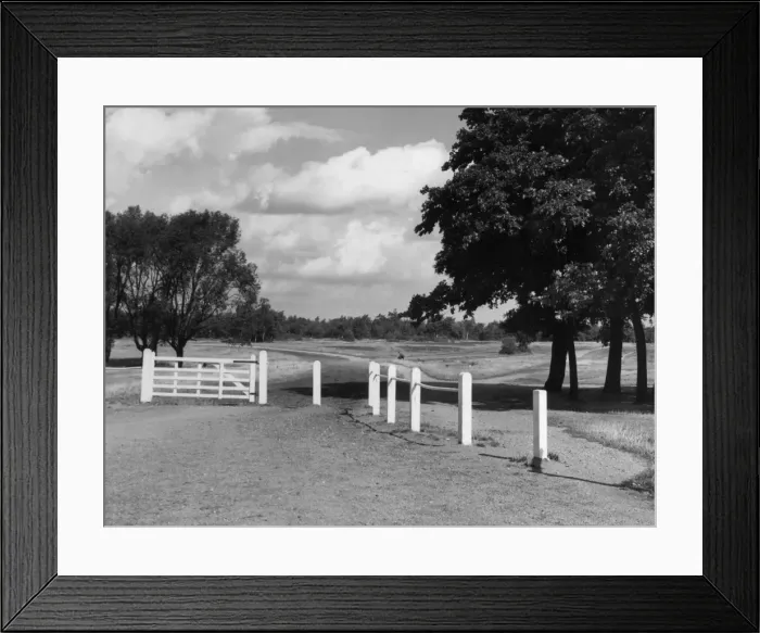 Framed Print : Wimbledon Common Framed Print : Wimbledon Common
