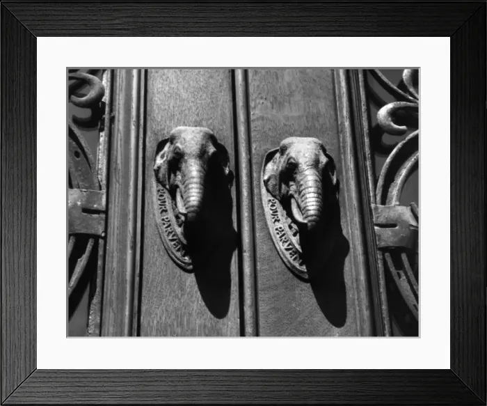 Framed Print : Elephant Doorknockers Framed Print : Elephant Doorknockers