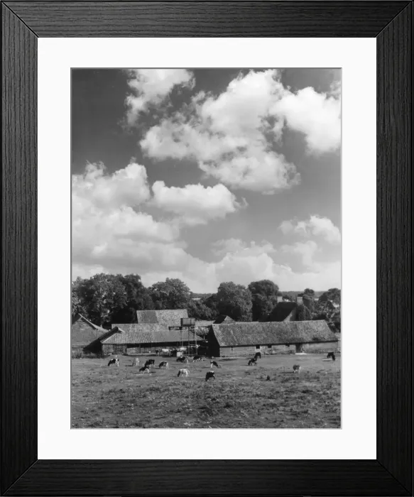 Framed Print : Norfolk Farm Framed Print : Norfolk Farm