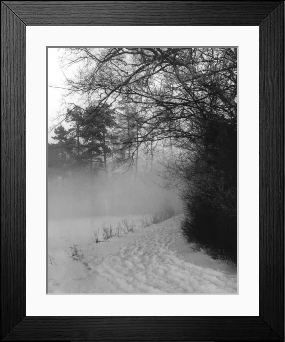 Framed Print : Winter Snow and Fog Framed Print : Winter Snow and Fog
