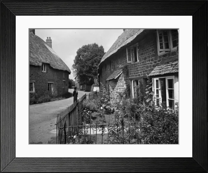 Framed Print : Brownstone Thatches Framed Print : Brownstone Thatches
