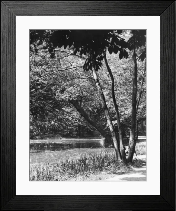 Framed Print : Wanstead Lake Framed Print : Wanstead Lake