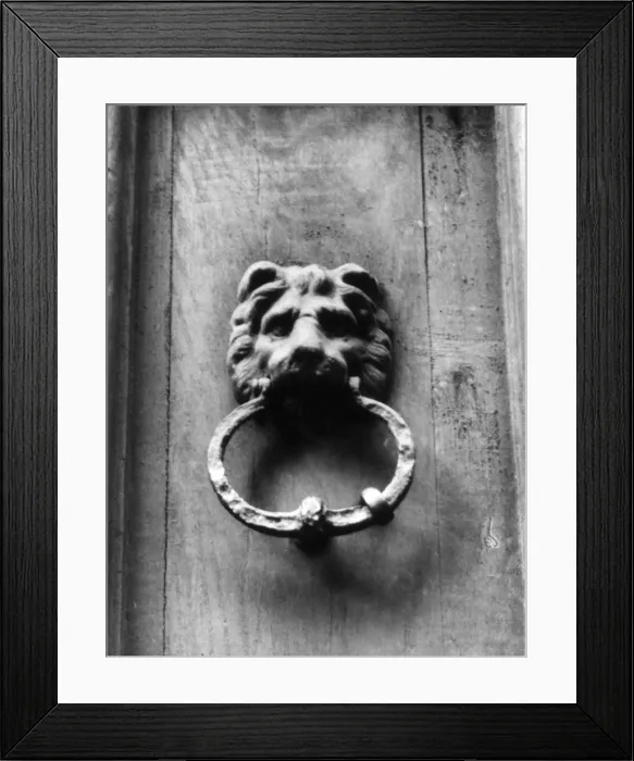 Framed Print : Lion Doorknocker Framed Print : Lion Doorknocker
