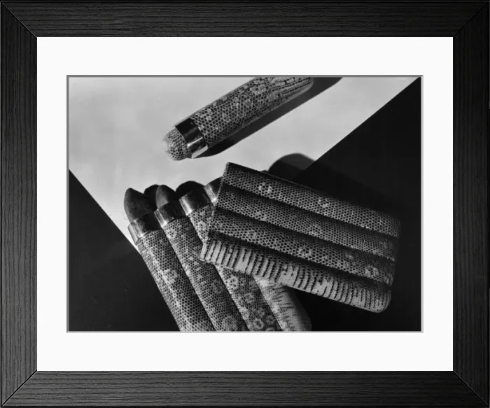Framed Print : Sharkskin Cigar Case Framed Print : Sharkskin Cigar Case