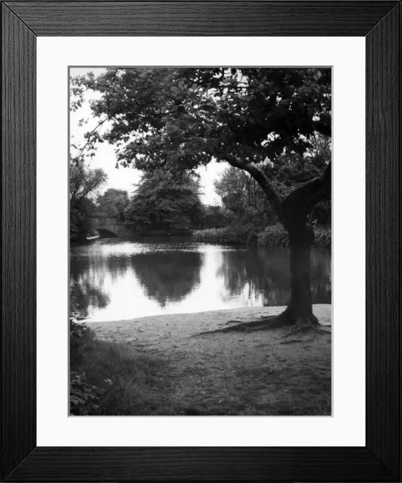 Framed Print : Wandsworth Common Lake Framed Print : Wandsworth Common Lake